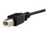 StarTech.com 1 ft Panel Mount USB Cable B to B - Close up