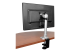 StarTech.com Monitor Desk Mount - Back