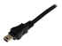 StarTech.com 6 ft USB Y Cable for External Hard Drive - Close up